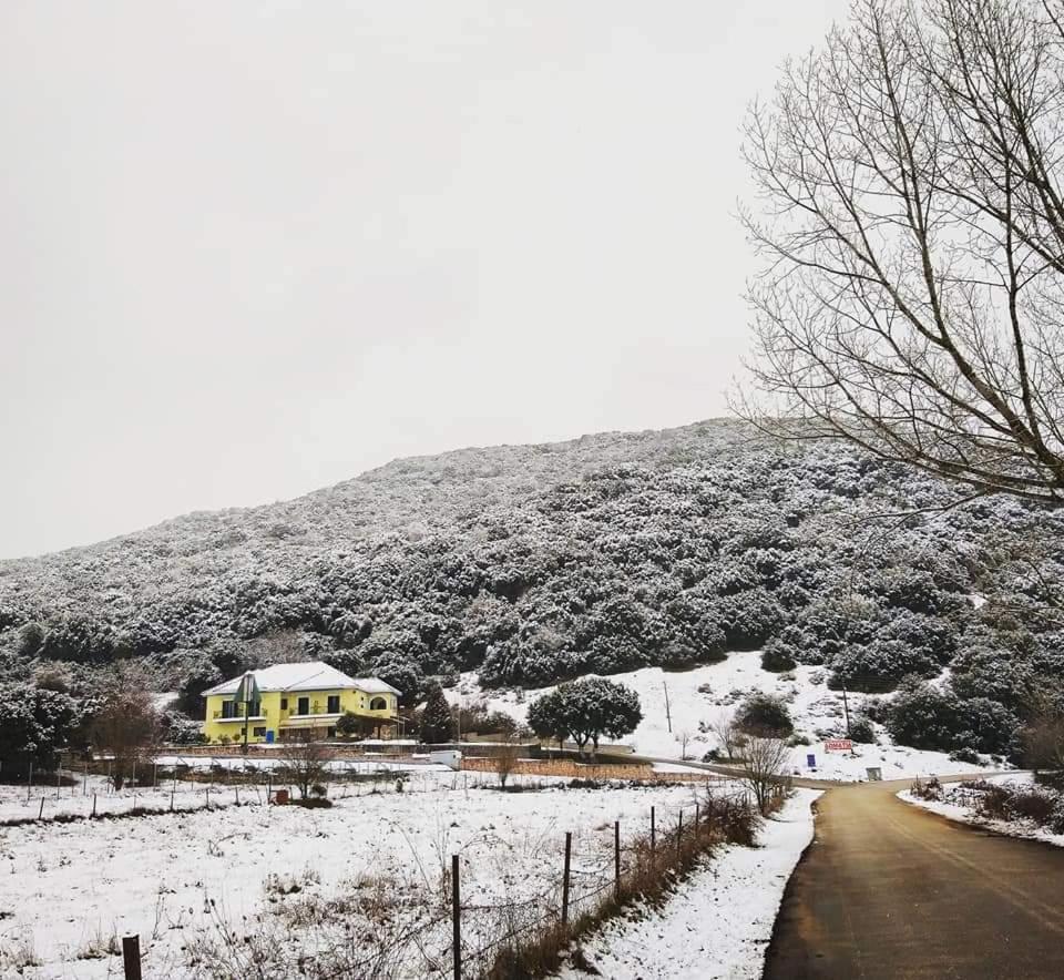 Guesthouse Bizani Neo Mpizani Exteriér fotografie