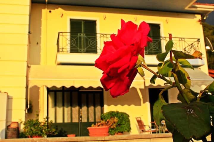 Guesthouse Bizani Neo Mpizani Exteriér fotografie
